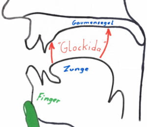Zeichnung eines Mundraumes zur Veranschaullichung