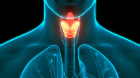 Blo larynx position when singing by Bernadette Kube